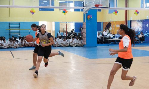 Basketball training