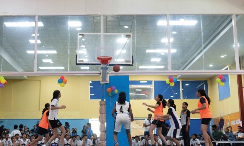 Basketball training