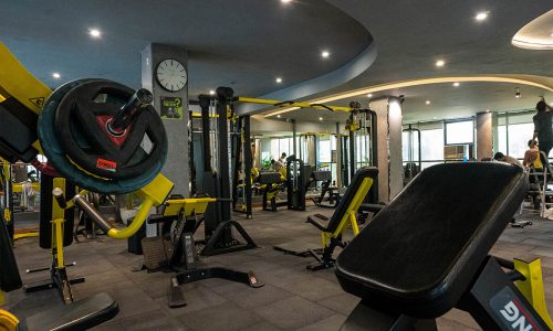 gym-12