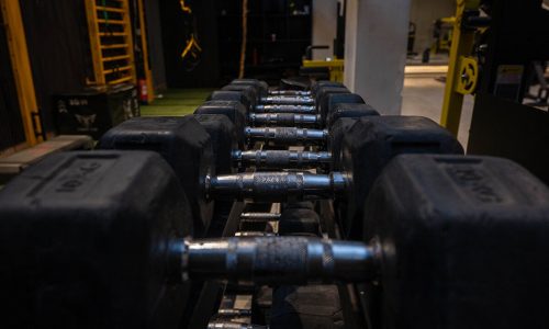 gym-13
