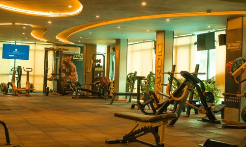 gym-22