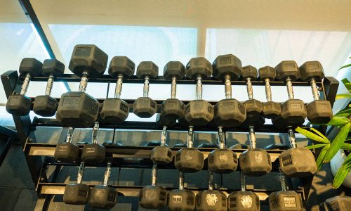 gym-23
