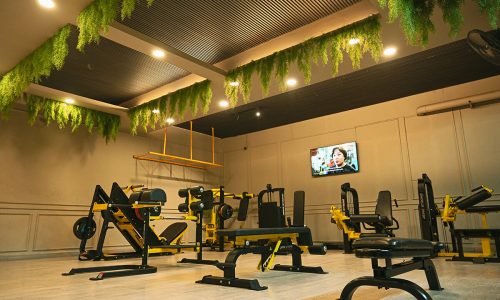 gym-3
